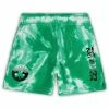 Outerstuff Toddler White/Kelly Green Boston Celtics Santa Monica Shorts -Outerstuff shop unnamed file 10316