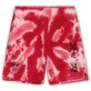 Outerstuff Toddler White/Red Chicago Bulls Santa Monica Shorts