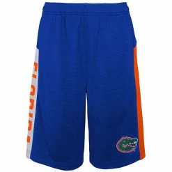 Outerstuff Youth Royal Florida Gators Down The Field Mesh Shorts