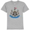 Outerstuff Youth Heathered Gray Newcastle United Primary Logo T-Shirt -Outerstuff shop unnamed file 9401