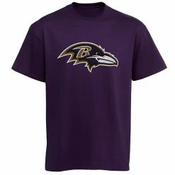 Outerstuff Baltimore Ravens Youth Team Logo T-Shirt - Purple